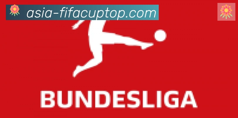 FIFA世界杯买球入口合作伙伴